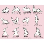 Such a beautiful Yoga practice from the bunny himself livingthegreenhellip