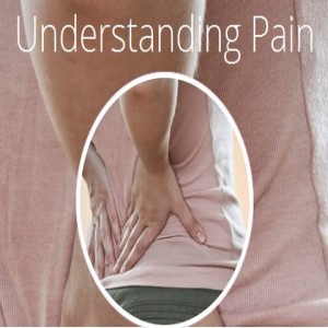 Understanding Pain (Course 4) @ The Yoga Space | West Perth | Western Australia | Australia